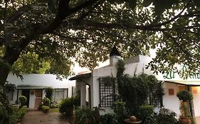 La Bella B&B Under The Fig Tree